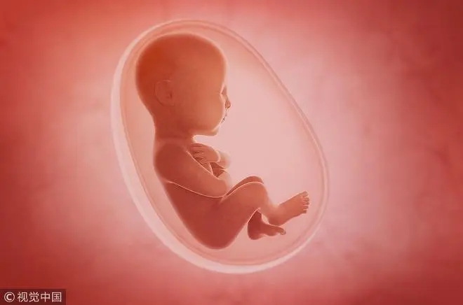 怀孕5个月胎儿有多大 五个月的胎儿图片